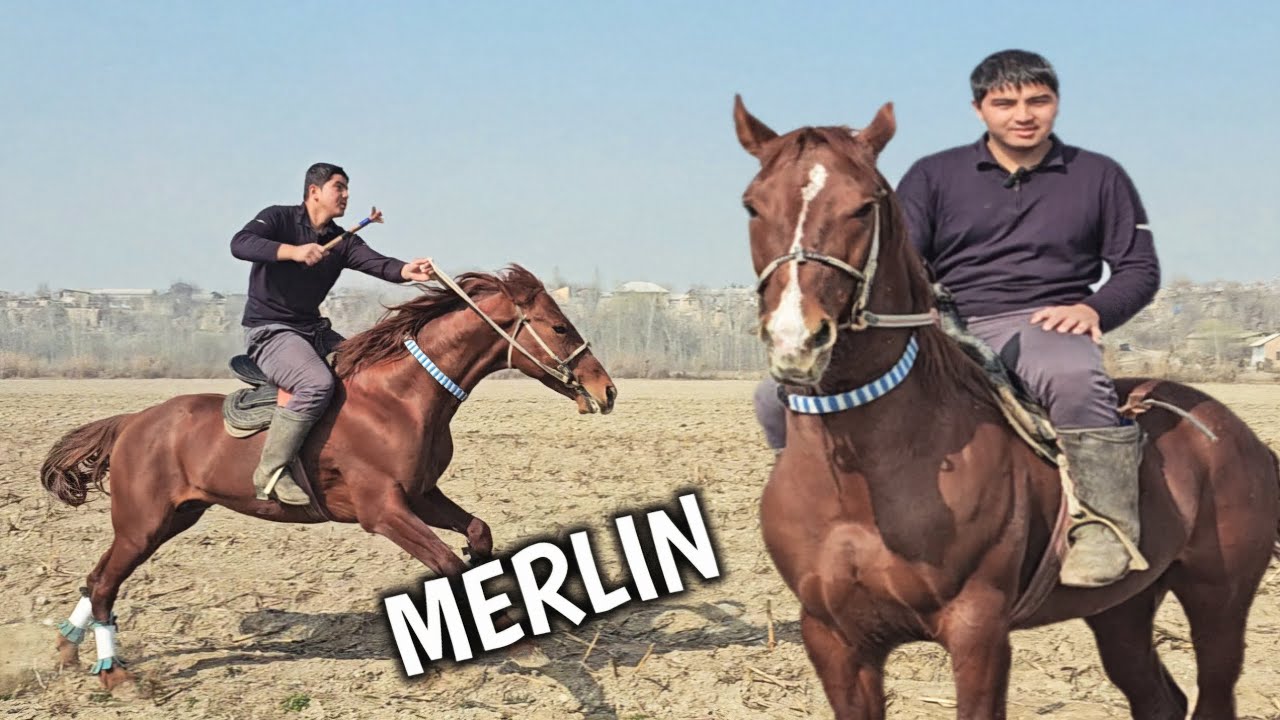 01.03.2026 AZIZBEK POLVONDAN OT KUCHLIG SOTILADI  !..