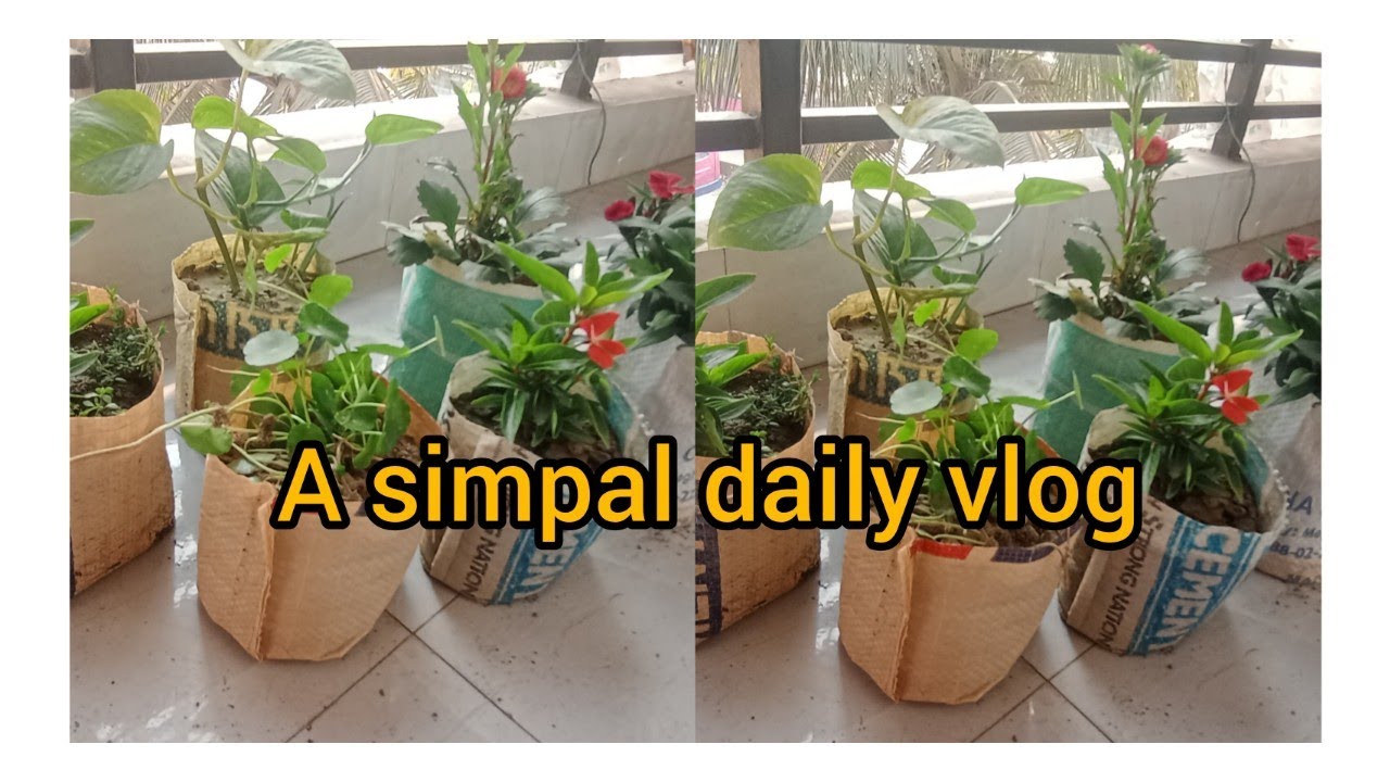 ✨ একটু ভালো লাগার সাধারণ মূহুর্ত ✨