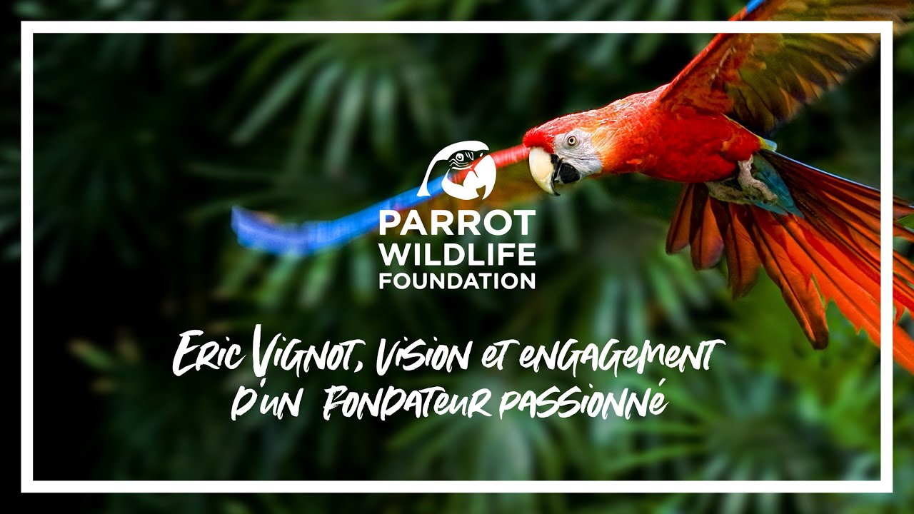 Interview Eric Vignot, fondateur de la Parrot Widlife Foundation