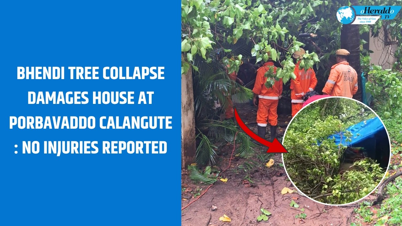 Tree collapse damages house in Calangute: No injuries reported