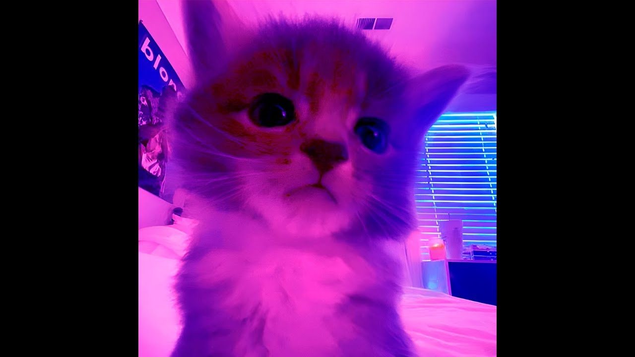 [FREE] hyperpop x glitchcore x TREEPSIDE x sad type beat (Nier)