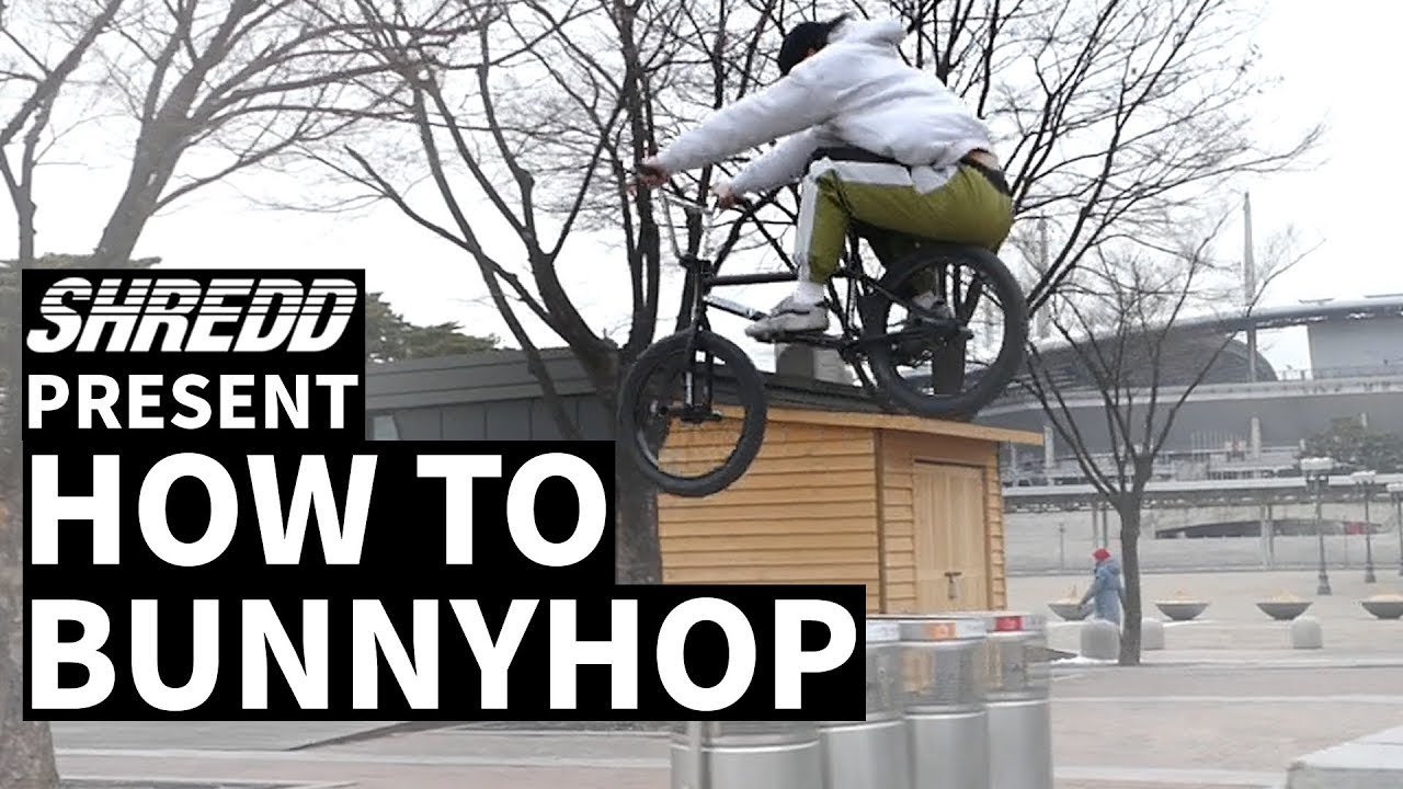 HOW TO BUNNYHOP BMX [하우투 바니홉 w/조인호] by 슈레드바이크(SHREDD bikes)