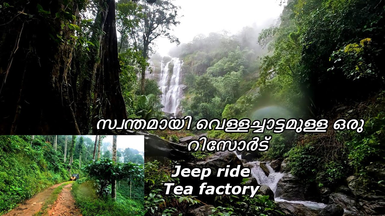 A beautiful resort with Private waterfalls | Best resort in Kuttikkanam