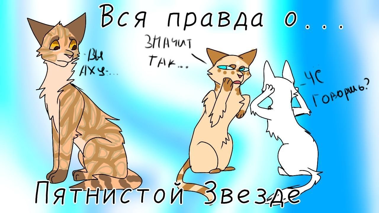 Вся правда о...Пятнистой Звезде\\коты воители\\