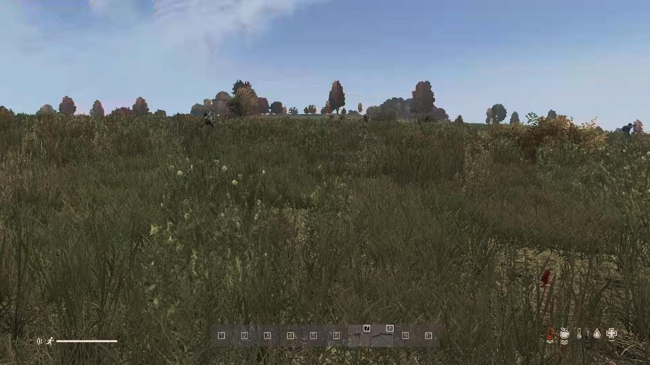 DayZ_20260221144435