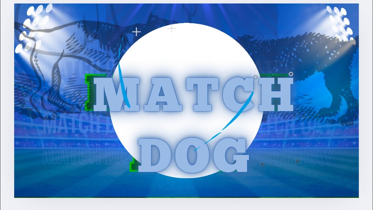 The Match Dog