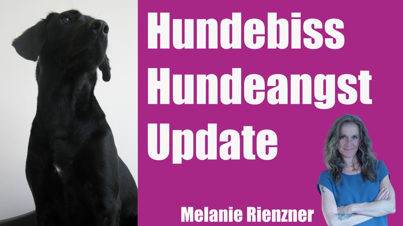 Update nach Hundebiss #heilprozesse Seele & K&ouml;rper
