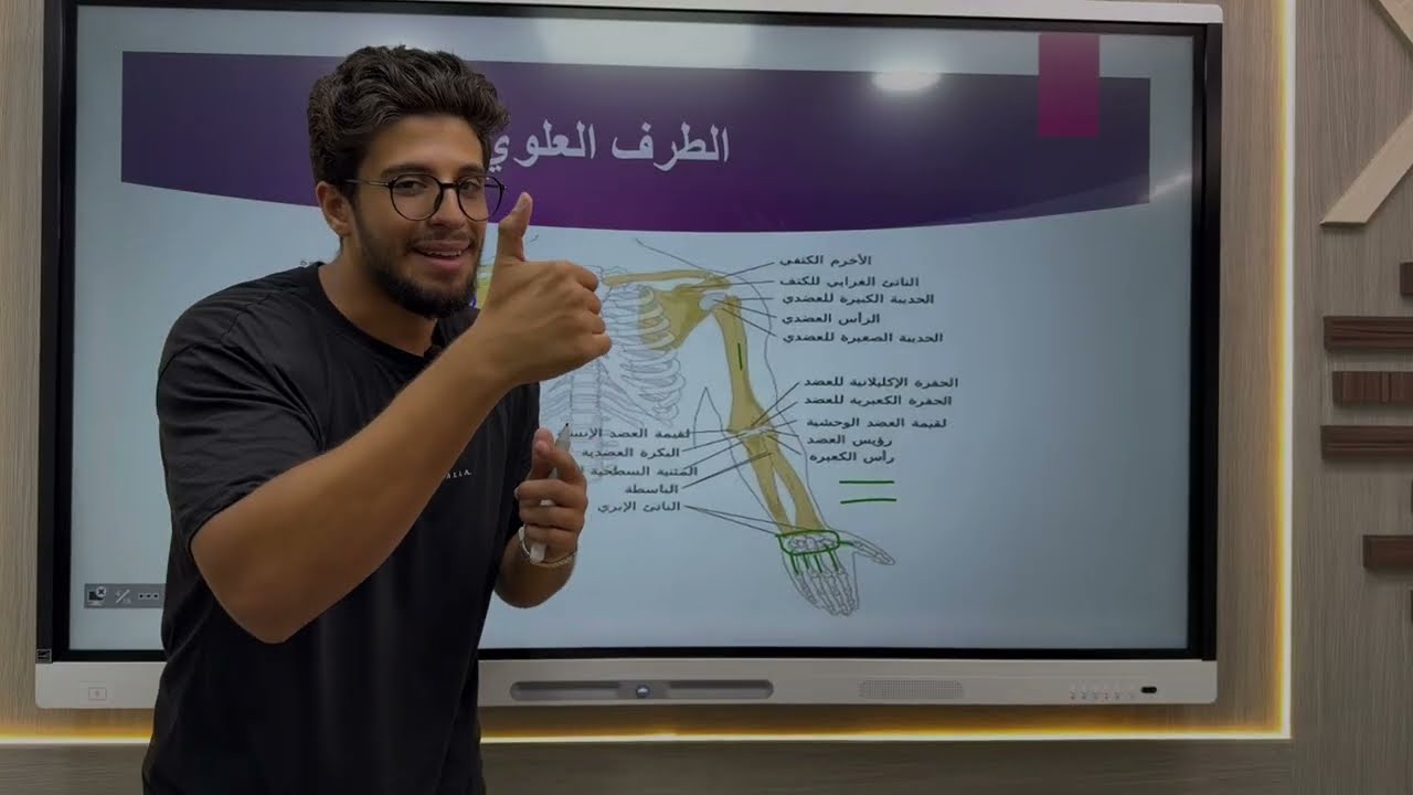 شرح الهيكل الطرفي احياء تالته ثانوي