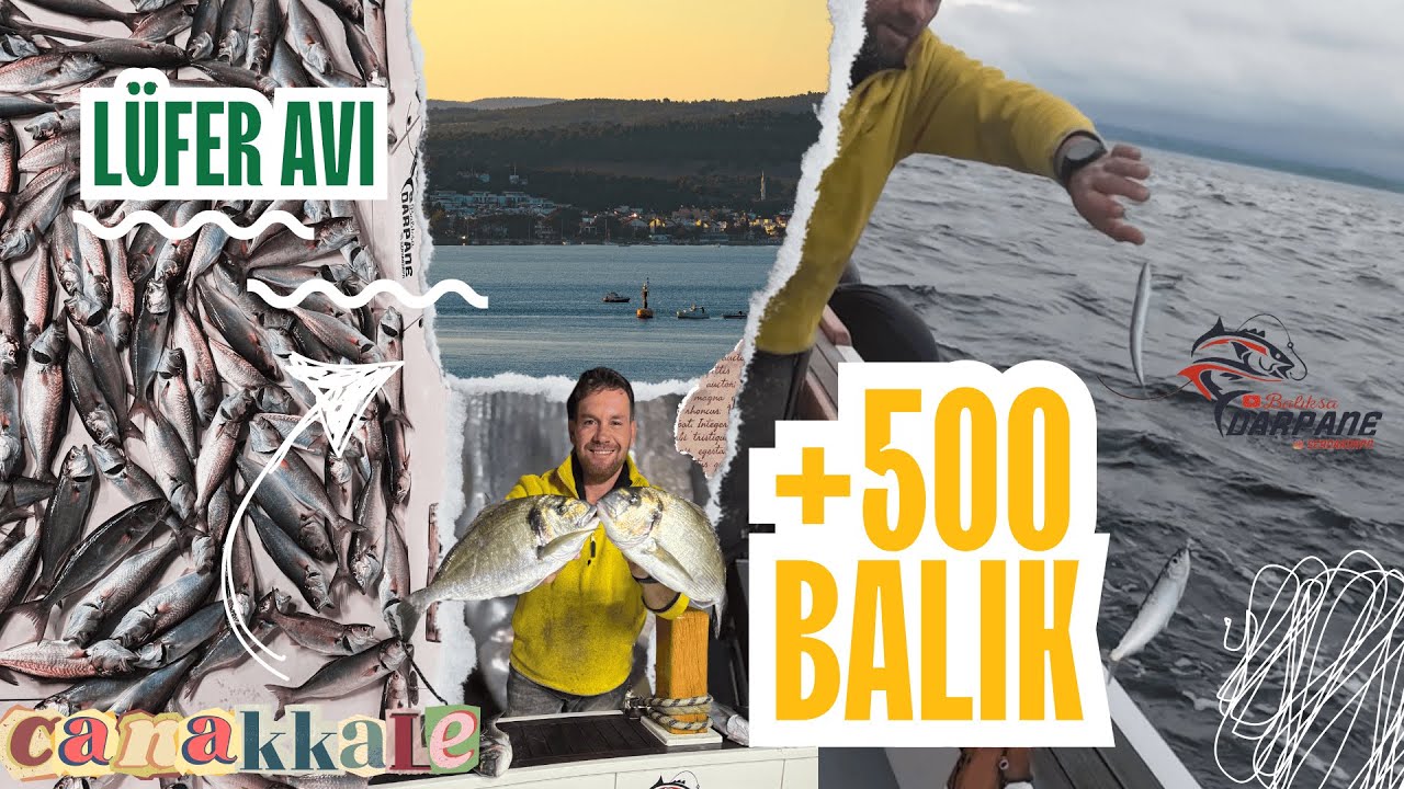 🎣 Lüfer Avı Macerası | +500 Yem Balık, Bol Kahkaha ve Sohbet!