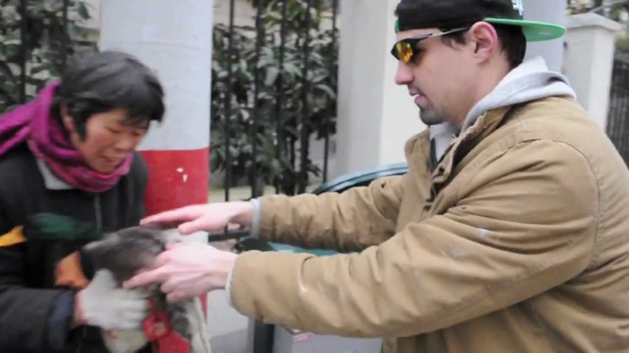 DONNIE DOES | Duckie