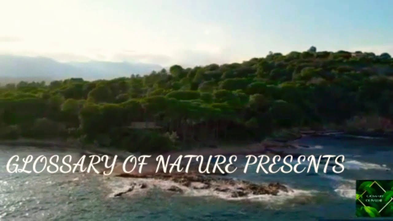 Use headphones for better experience 🎧Mountain Views 🏞Feel the nature 🌱watch fully 🎥