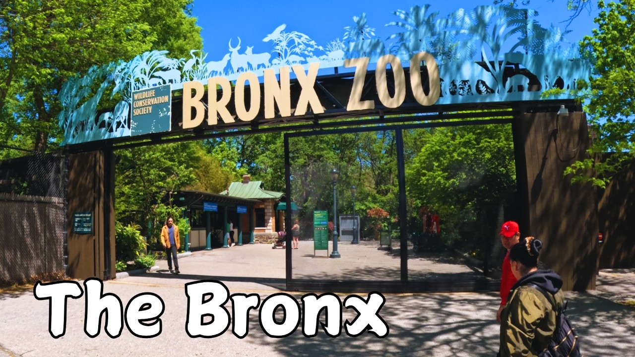 Come See What A Day At The Bronx Zoo is Like 🦍🦏 ** FREE WEDNESDAYS!! ASMR Walking Tour 🌳🚶🏽‍♂️