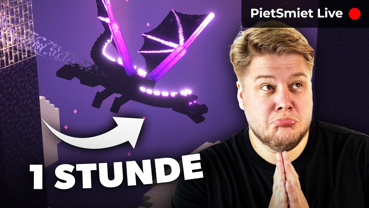 Schlagen wir in 1 Stunde den Enderdrachen?