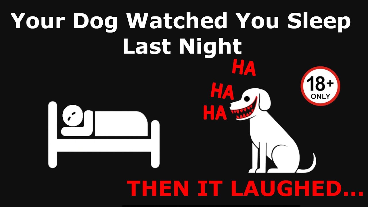 If Your Dog Starts Laughing… RUN - Analog Horror