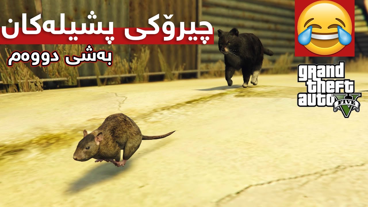چیرۆکی  پشیلەکان😁بەشی دووەم