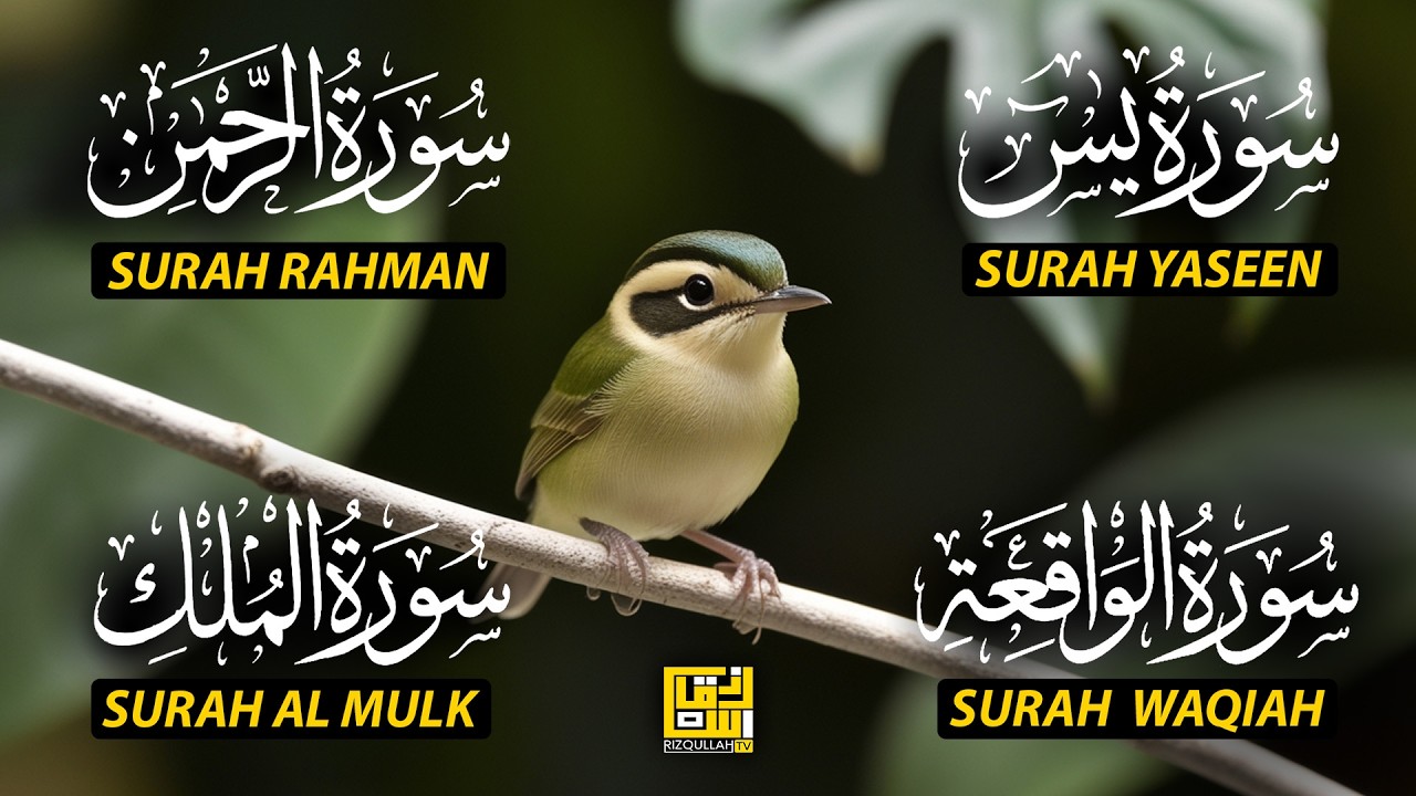 The Best Recitation Surah Yaseen (Yasin) | Surah Rahman | Surah Waqiah | Surah Mulk EP209