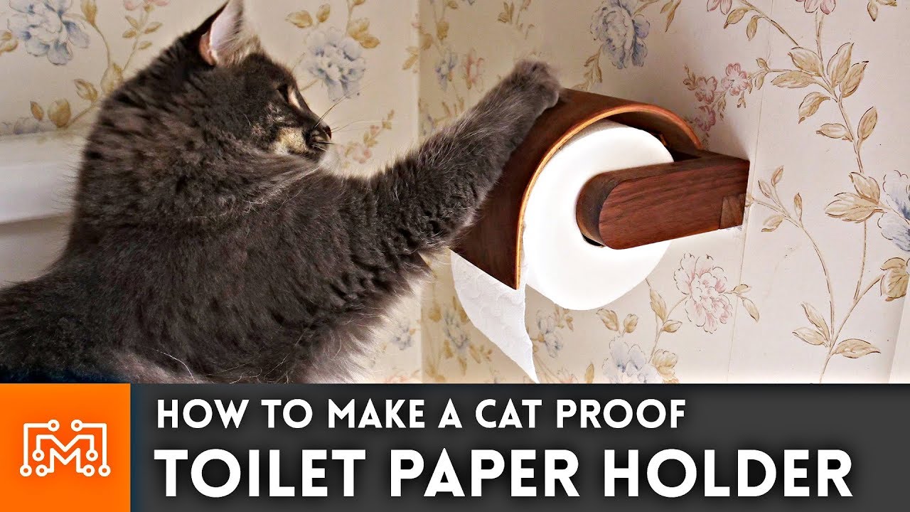 Cat Proof Toilet Paper Holder // Bent Lamination | I Like To Make Stuff