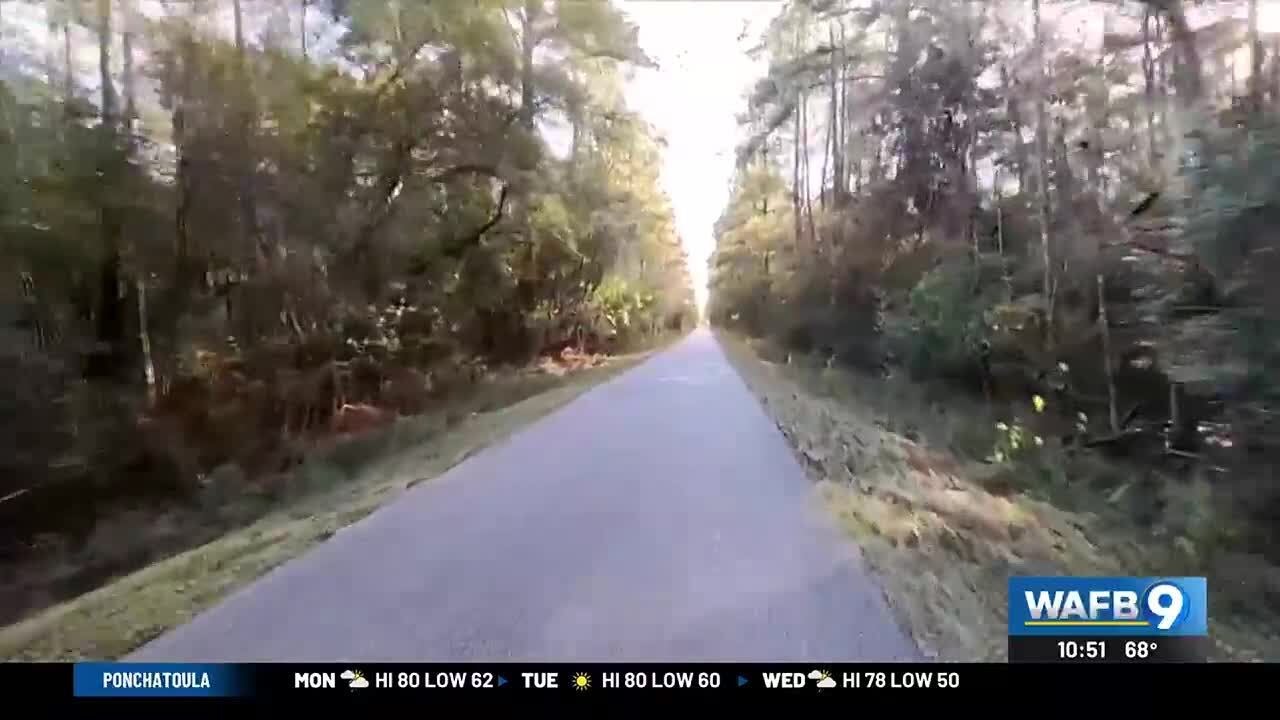 HEART OF LOUISIANA: Tammany Trace
