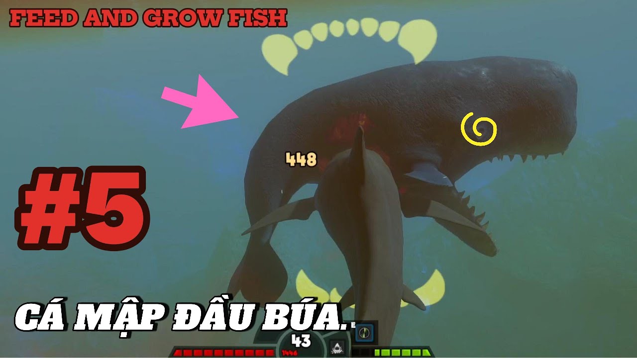 Feed and Grow Fish – Tập 5 | Cá Mập Đầu Búa Xuất  Trận Cái Kết ĐẪM MÁU- Alien404