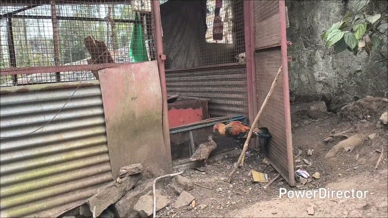 கொஞ்ச நேரத்துல பயத்தை காட்டிவிட்டது 