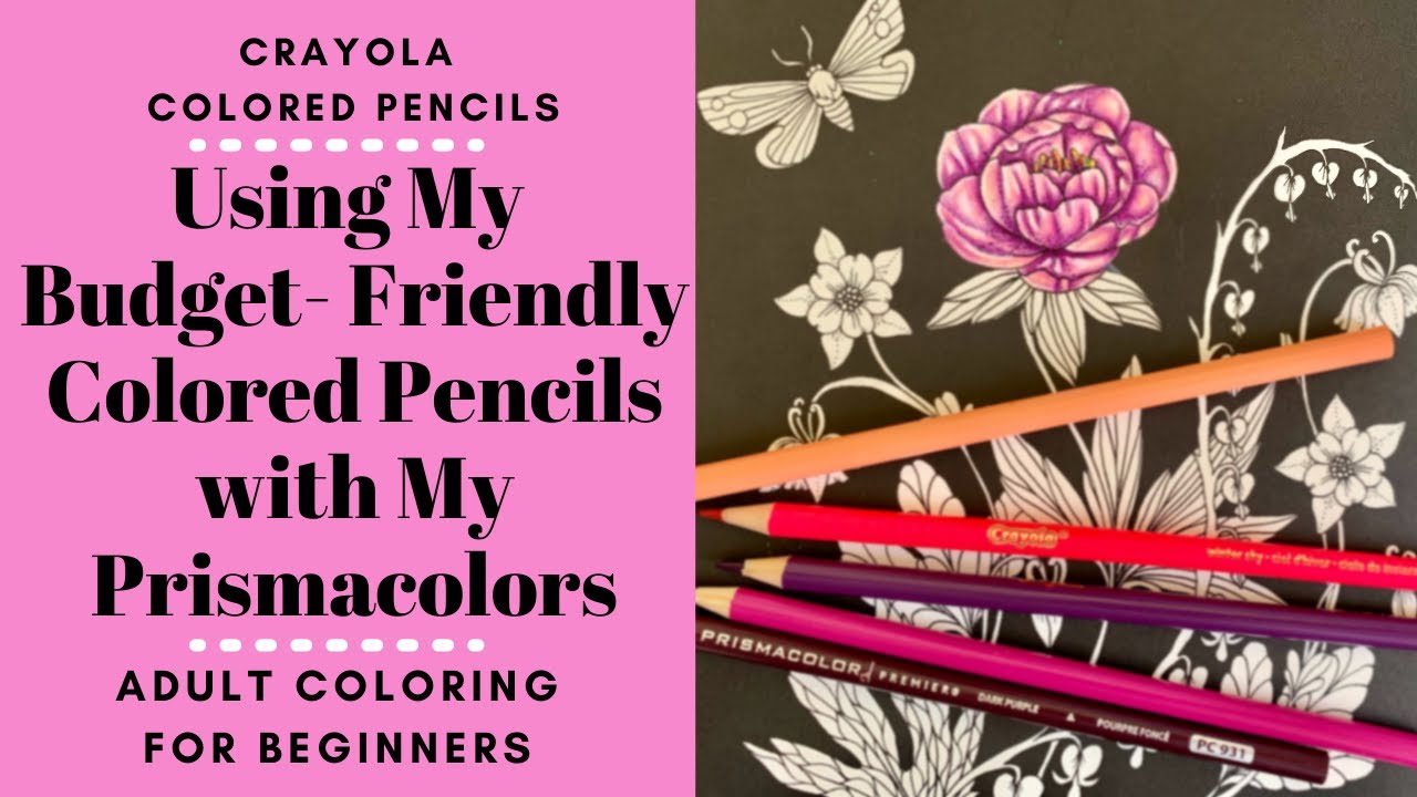 Using my Budget-Friendly Colored Pencils with My Prismacolors | ADULT COLORING FOR BEGINNERS