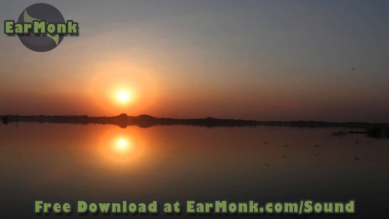 May Birds and Waves - Foley Sounds Tanzania - Free Download Sound Design - Relaxing Nature Sounds