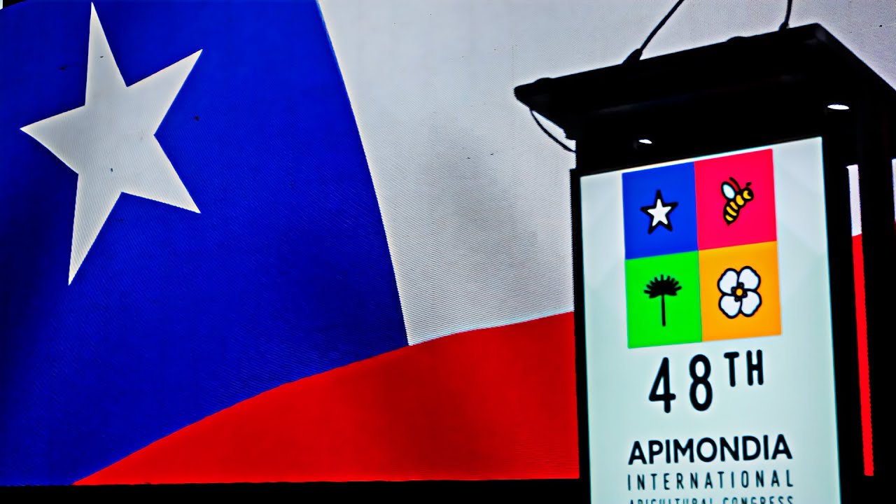 APIMONDIA Chile 2023 Video Resumen Oficial (Aftermovie)