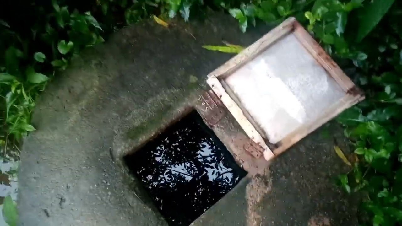 O tempo tá bom para caminhar