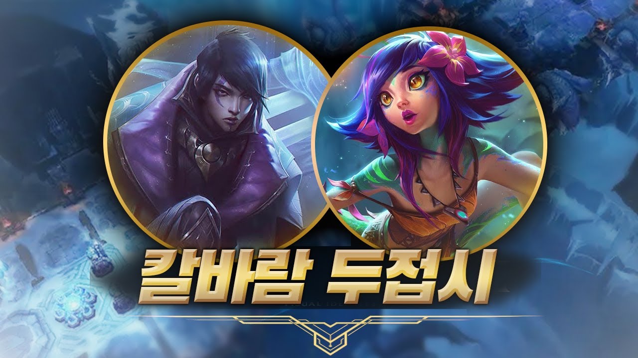 【칼바람 나락】 아펠리오스 강의 & 니코
