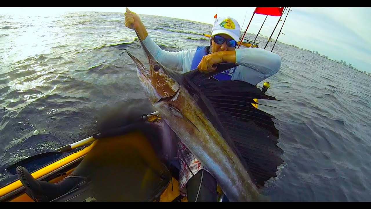 Kayak Fishing, 3rd Sailfish of 2014 Pompano Beach, FL