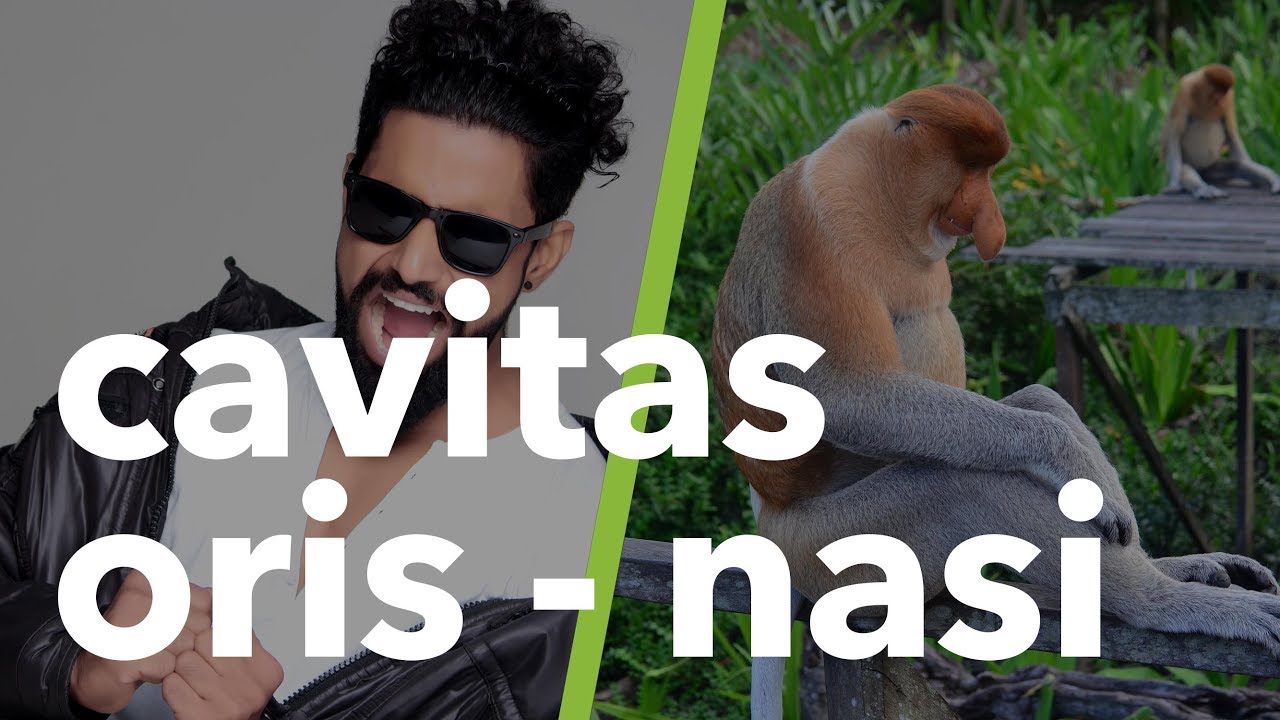 Kas ve İskelet Sistemi Terminolojisi: Cavitas oris-nasi #11
