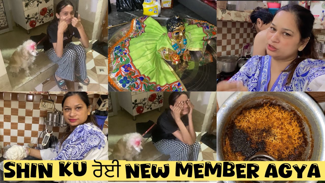 Finally Ghar Agya New Member 🥰Shin Kyu Ron lagpi 🤫 #familychannel #newmember 