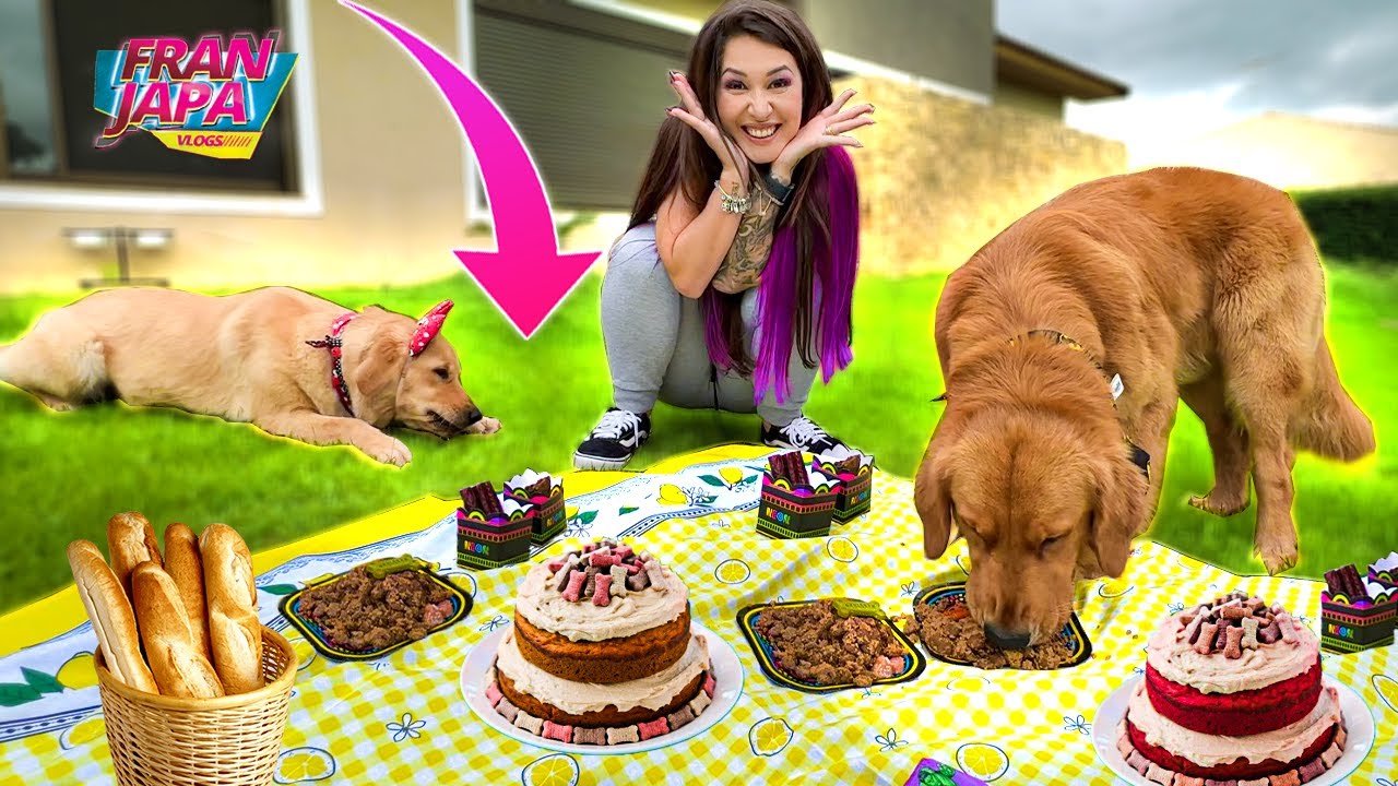 FIZ UM PIQUENIQUE PARA MEUS CACHORROS ! - Fran Japa