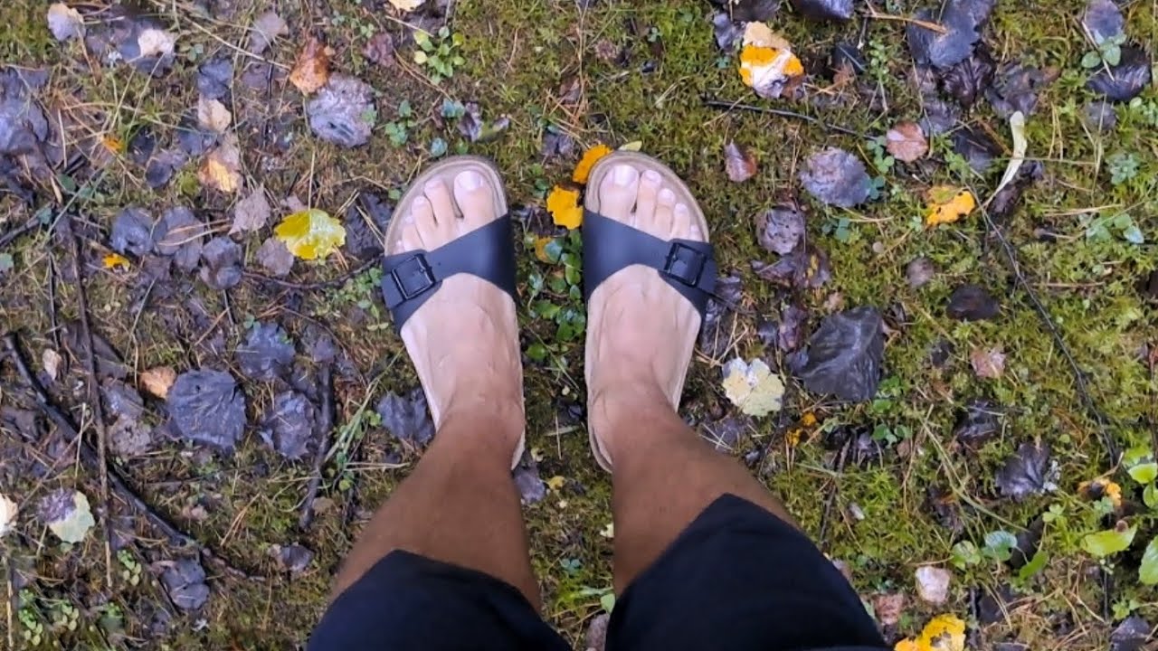 forest expedition with Birkenstock Madrid🌲👣