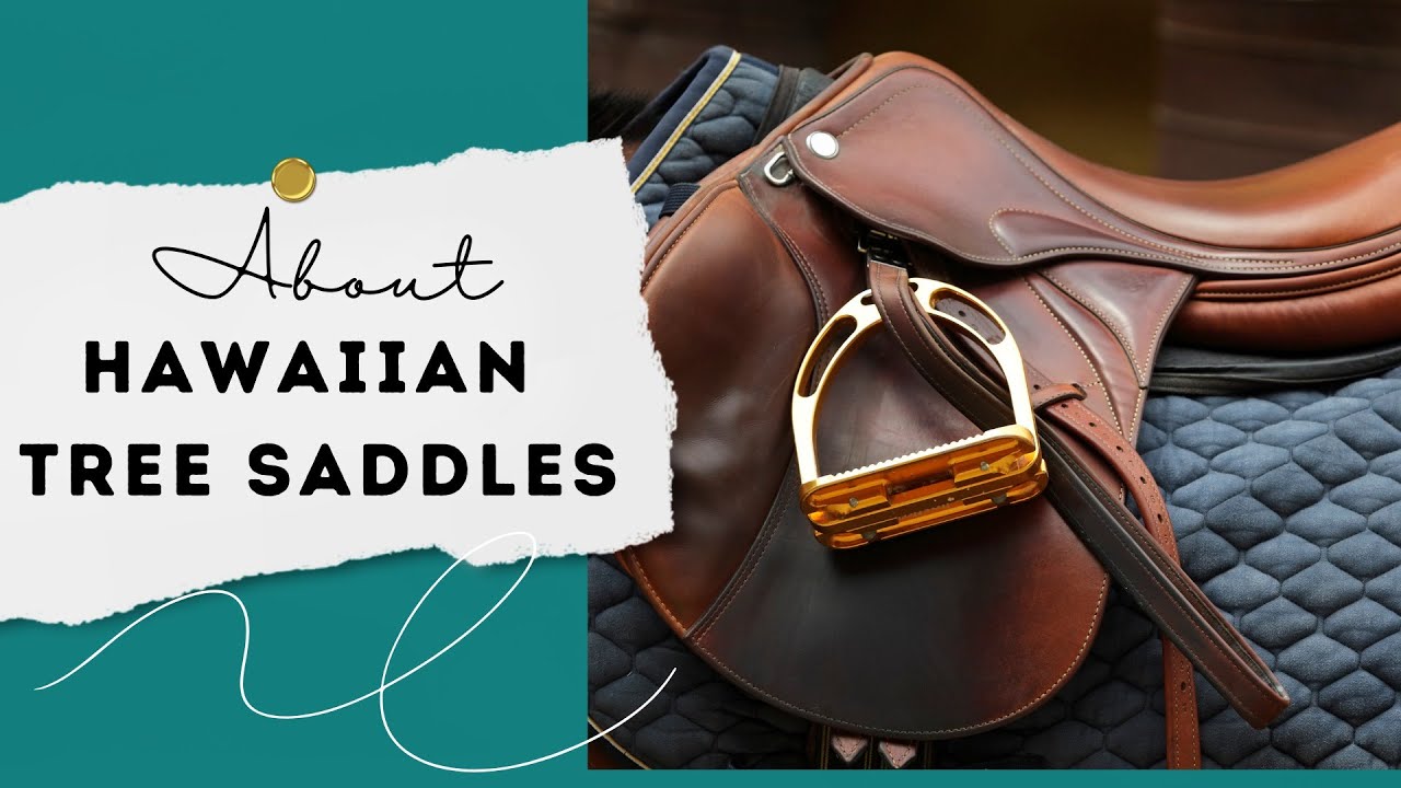About Hawaiian Tree Saddles (For Kids!)