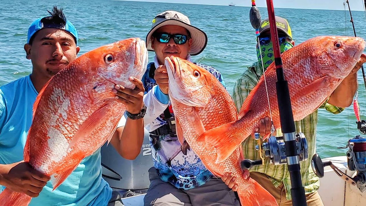 PESCA DE HUACHINANGOS GIGANTES