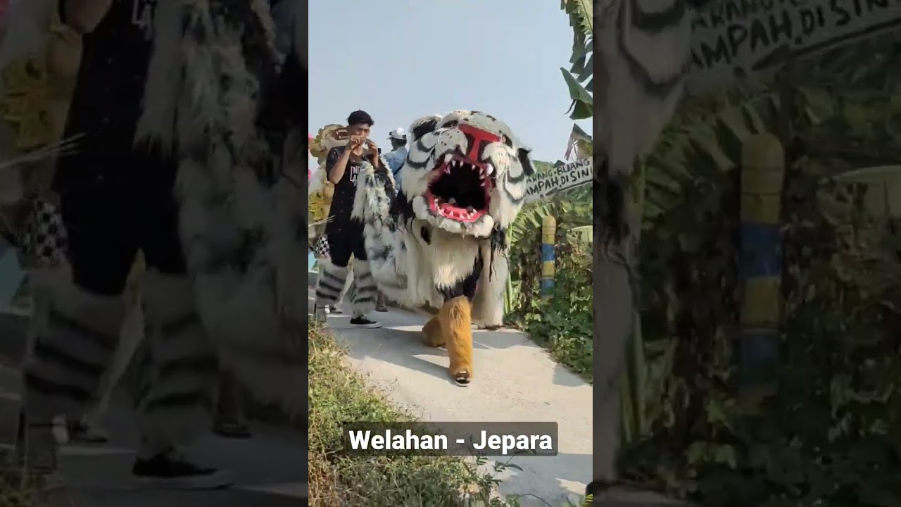 Macan - Macanan Drumband New Pandawa