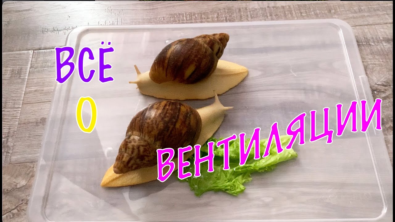 ВАМ НУЖНО ЭТО ВИДЕО. ВСЁ О ПРАВИЛЬНОЙ ВЕНТИЛЯЦИИ.