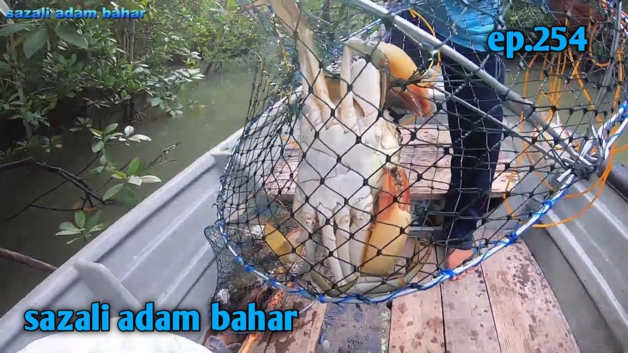 Bento ketam dan jaring ikan belanak ep.254