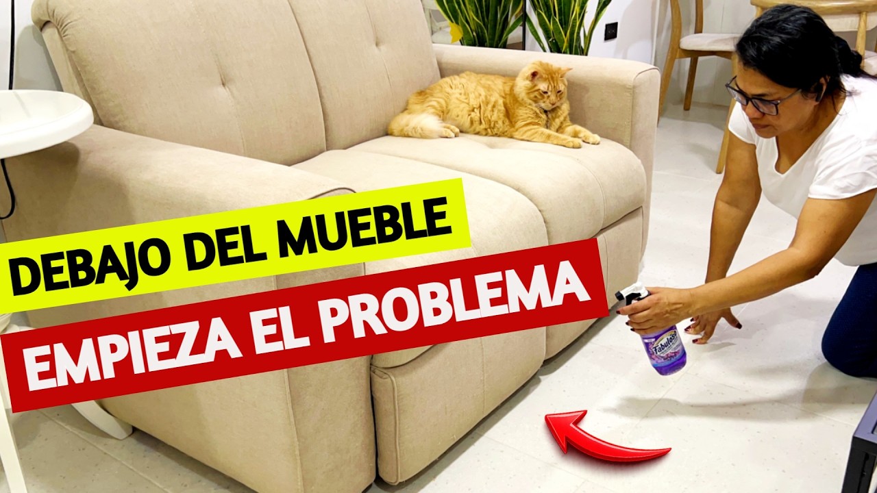 💛 ORDEN Y LIMPIEZA: la mejor forma de EVITAR INSECTOS en casa