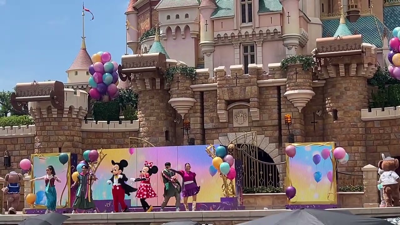 Disney Friends Party at the Castle