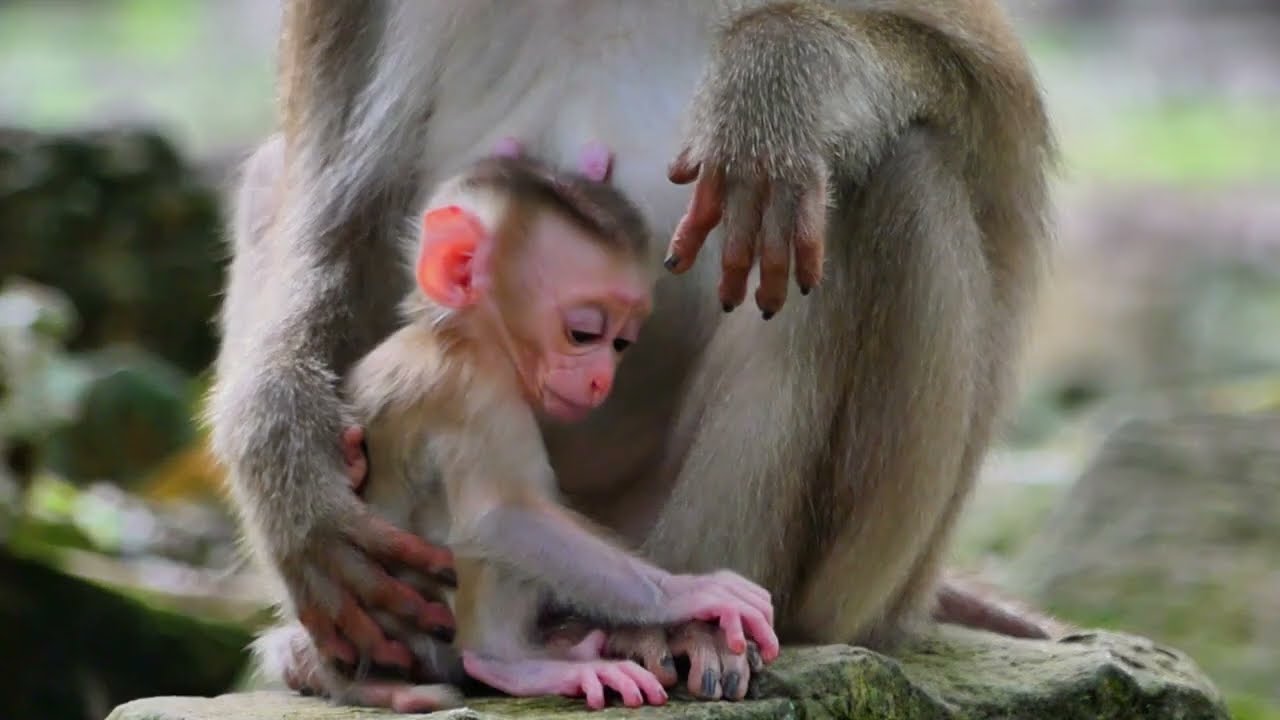 Life of Mom Joyce just getting new baby , baby Jace