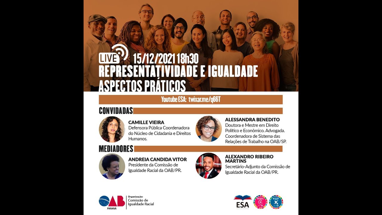 REPRESENTATIVIDADE E IGUALDADE ASPECTOS PRÁTICOS