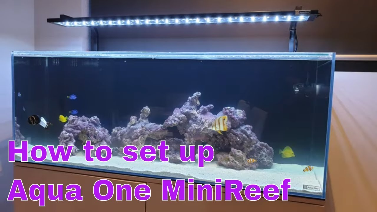 How to set up Aqua One MiniReef