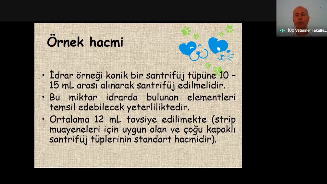 Doç. Dr. Atila ATEŞ: Kedi ve Köpeklerde İdrarın Mikroskobik Muayenesi