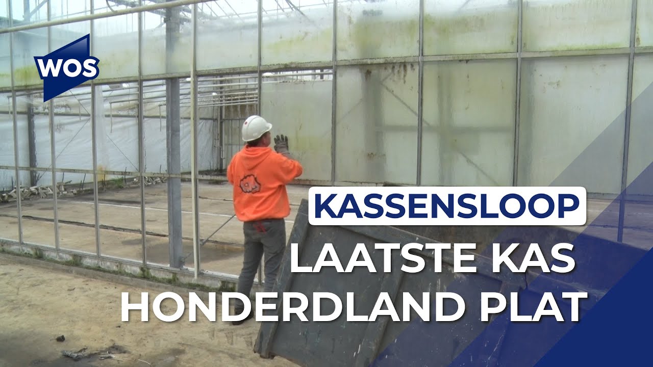 Laatste kas van Honderdland plat