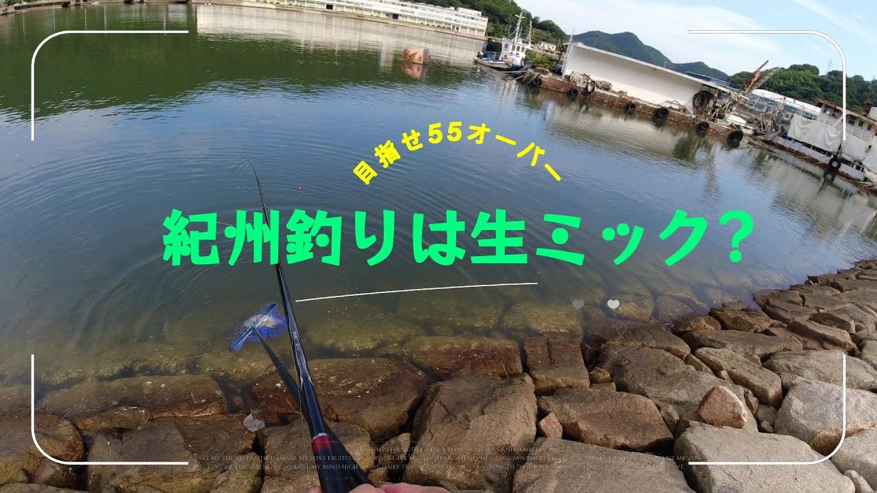 生ミックの威力！　紀州釣りでチヌ釣り