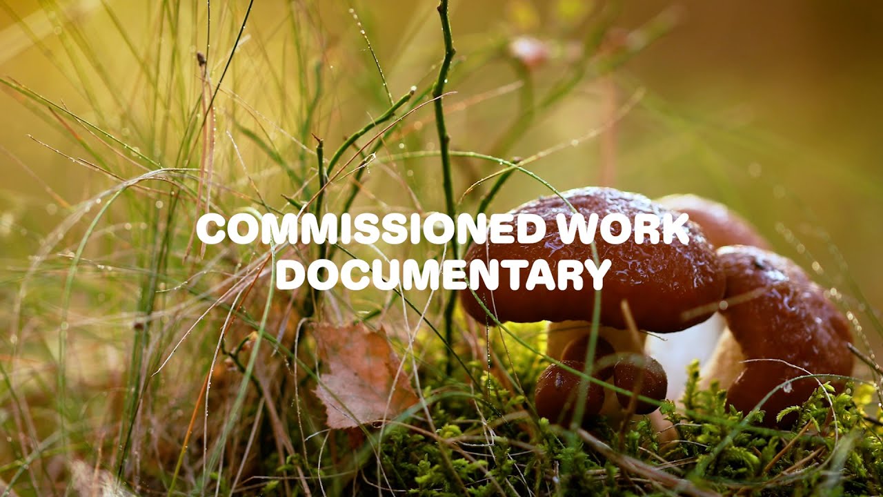 Pop-Kultur 2023 | Commissioned Work Documentary