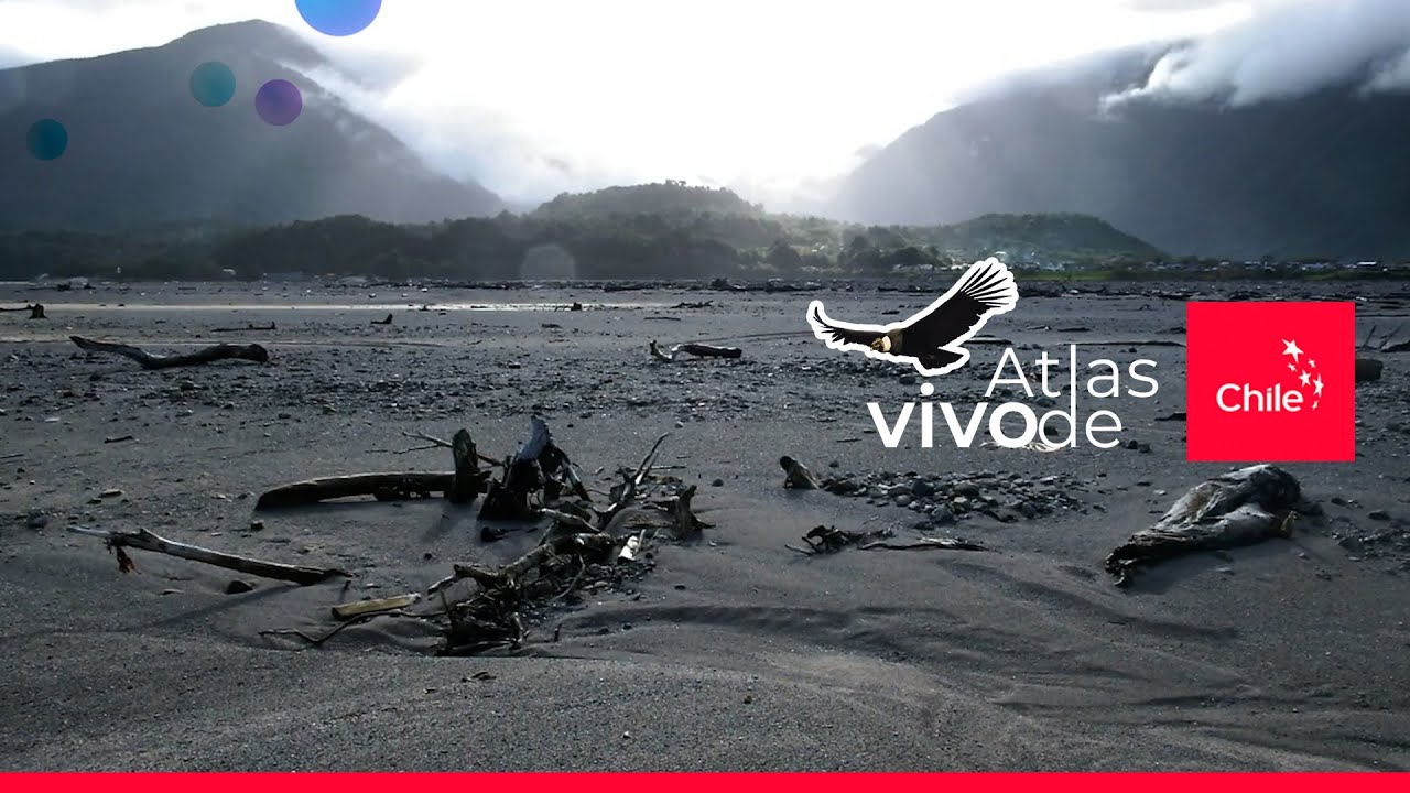 Chaitén: memoria y resiliencia tras la erupción | Atlas Vivo de Chile