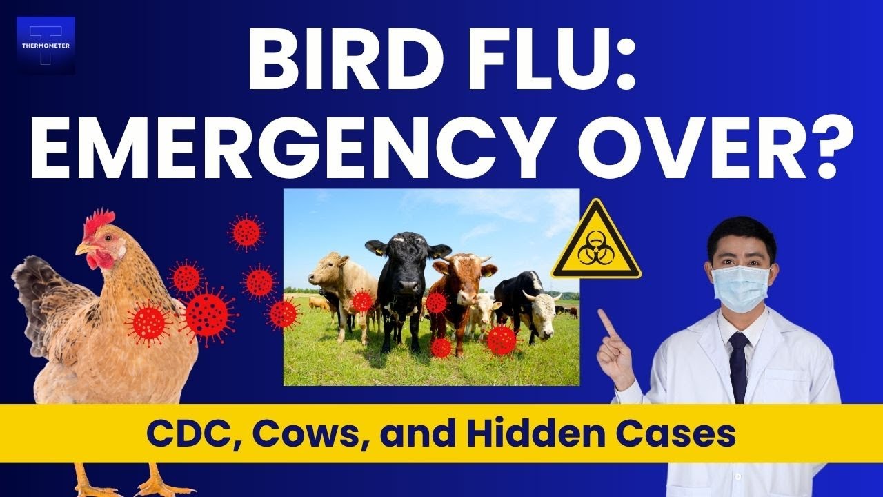 Did CDC Just Make a Big Mistake with Bird Flu? | Dr Jay Varma & Dr Jon Epstein
